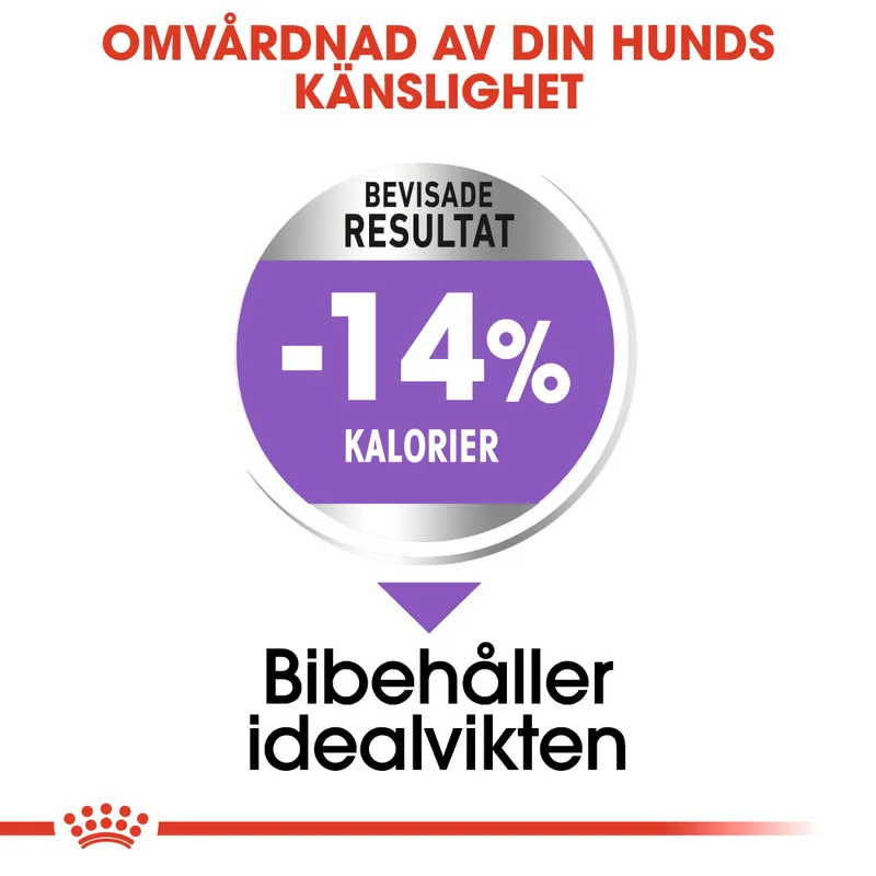 Royal Canin Mini Sterilised Adult Torrfoder till Hund