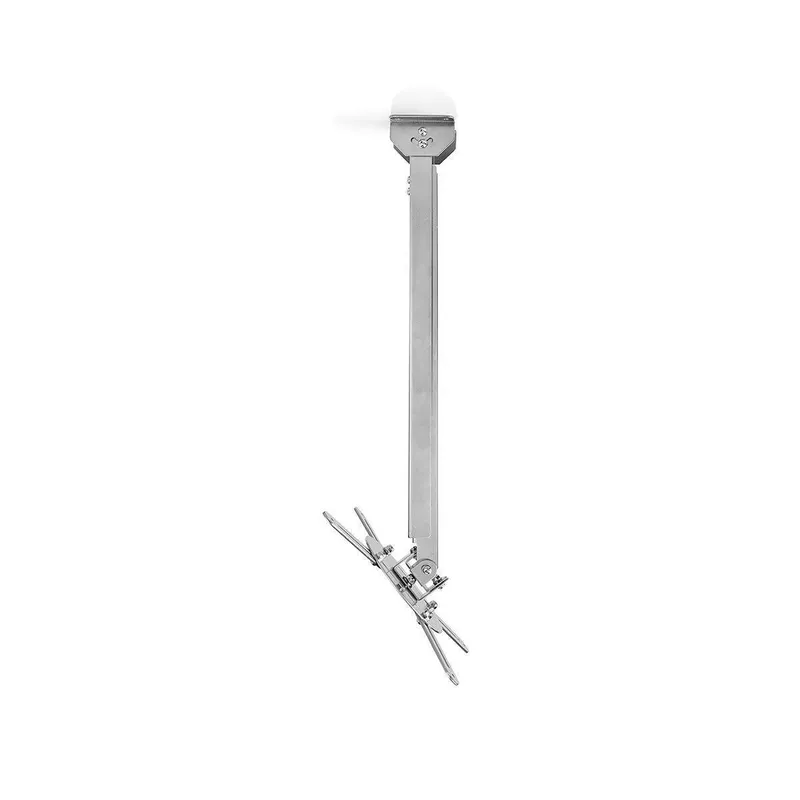 Projektor Fäste | Fullständigt justerbar | 10 kg | Roterbar | Går att tilta | Stål | Silver