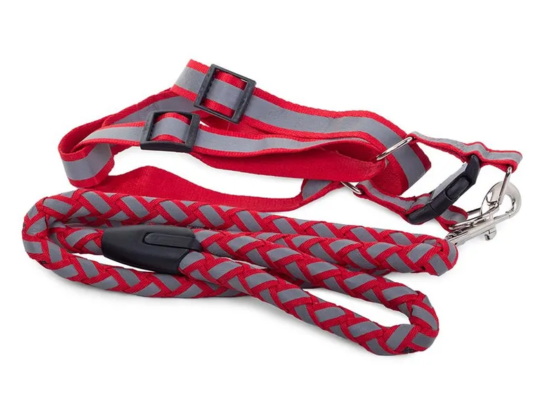 Koppel med sele – Reflex – 120 cm – Strl L – Rosa
