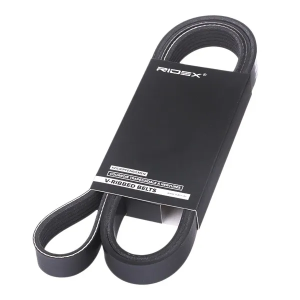 Multirem RIDEX 305P0082