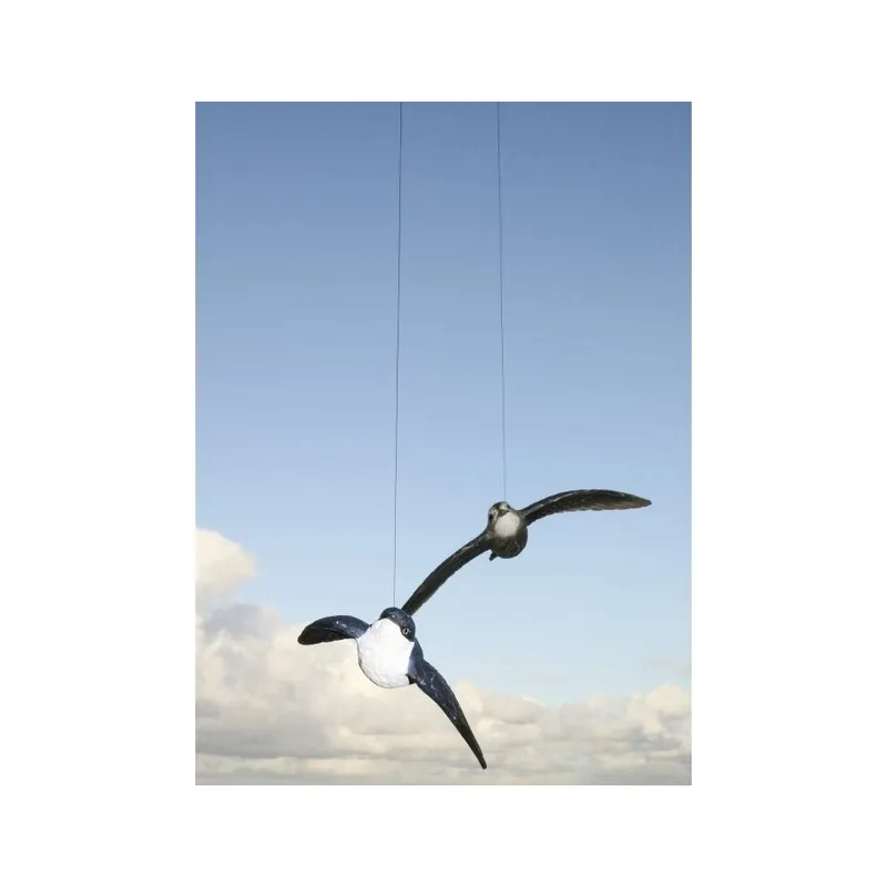 DecoBird Tornseglare
