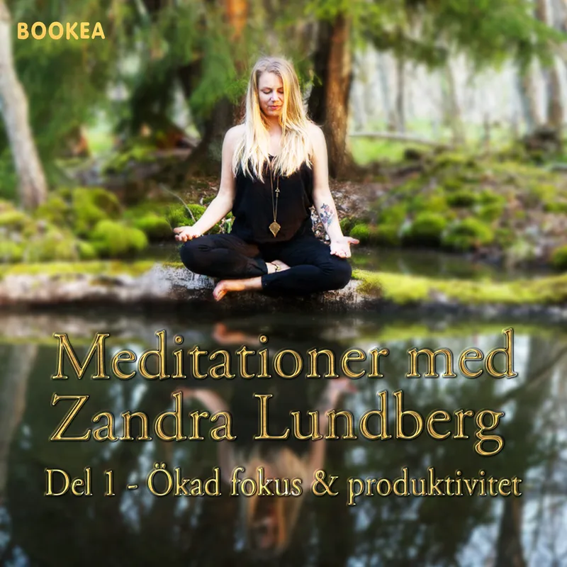 Ökad Fokus & produktivitet, Ljudbok