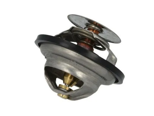 THERMOTEC D2IV005TT Termostat, kylvätska