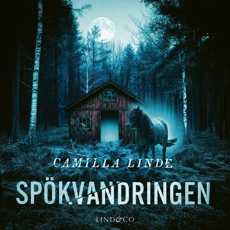 Spökvandringen, Ljudbok