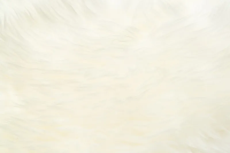 Vitt fårskinn från Nya Zeeland - 50×90 cm