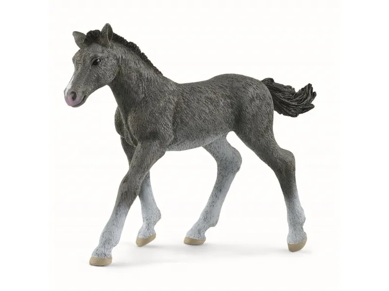 Schleich Horse Club – Trakehner föl – H: 7, 0 cm 13944