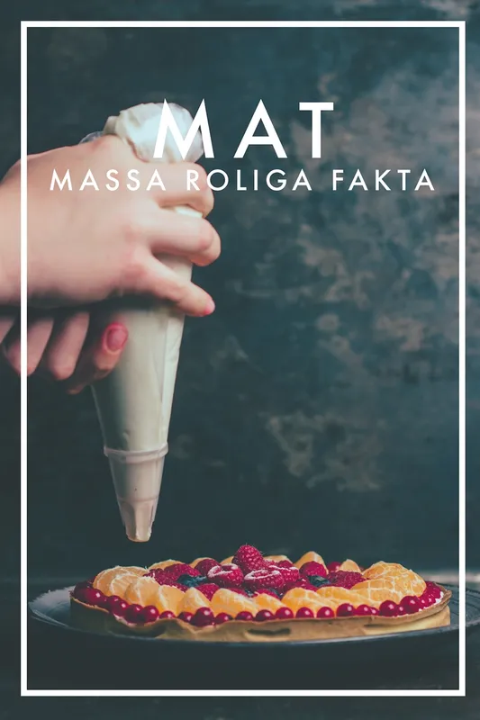 MAT Massa roliga fakta (PDF), E-bok