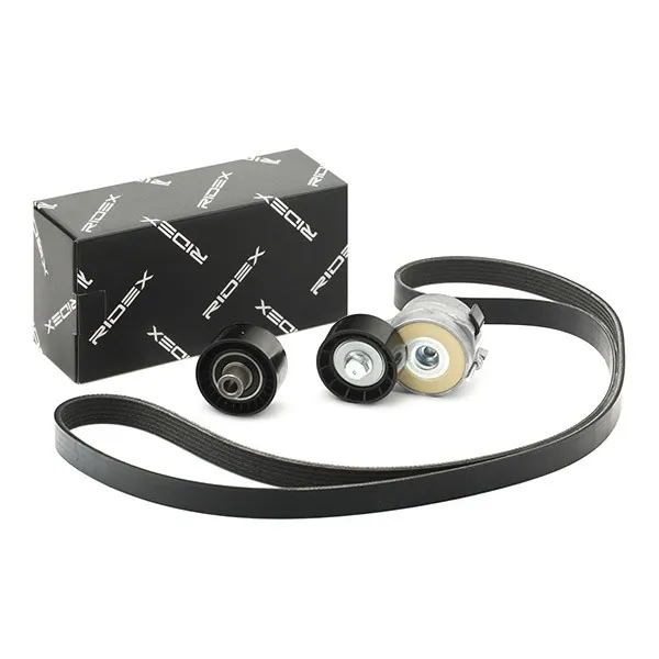 Drivremssats RIDEX 542R0048