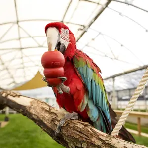 KONG Leksak Kong Small animal S