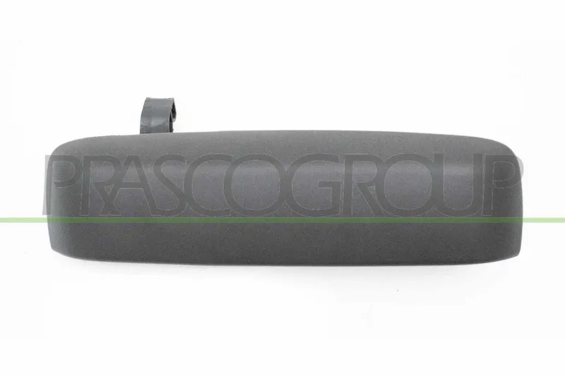 Dörrhandtag PRASCO FT3508002