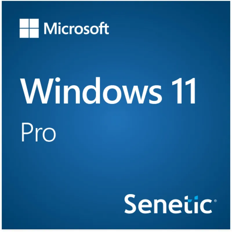Microsoft Windows 11 Professional 64-bit Dvd En