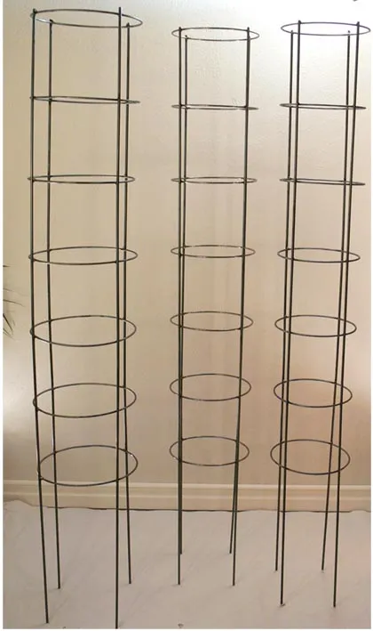 Spaljé Lackis (Storlek i Diameter: 340mm)