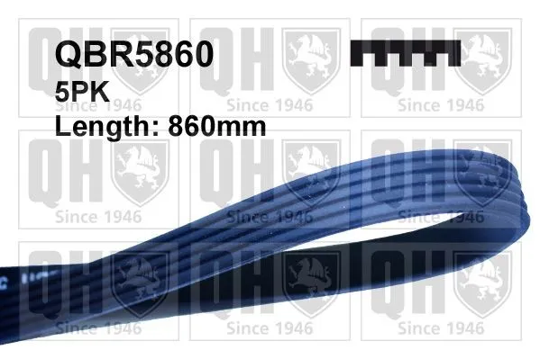 Multirem Quinton Hazell QBR5860