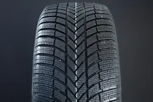 Bridgestone Blizzak LM 005 ( 195/65 R15 91T EVc )