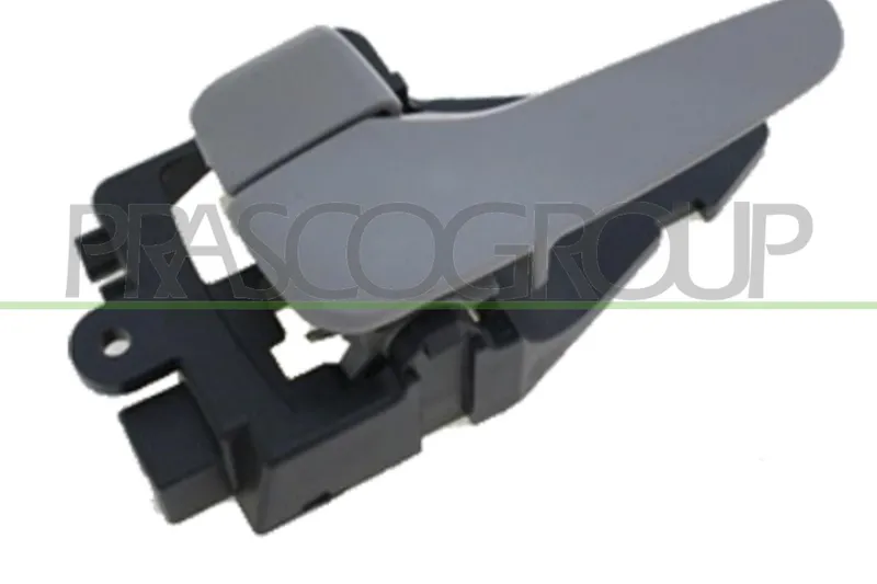 Dörrhandtag PRASCO MB8218408