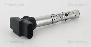 Tändspole TRISCAN 8860 29029