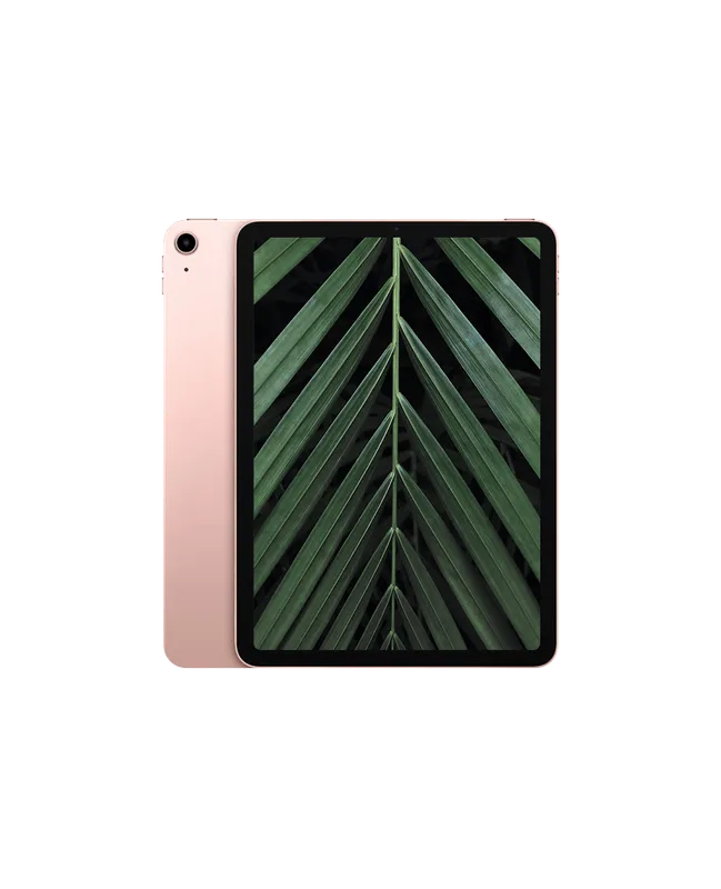 iPad Air 4 Wi-Fi + 4G Roseguld / 256GB / Okej skick