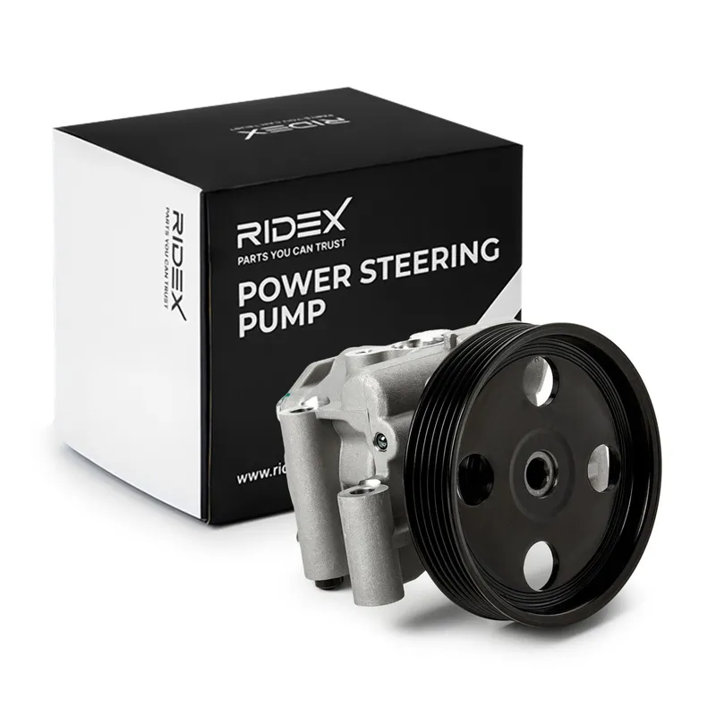 Servopump RIDEX 12H0553