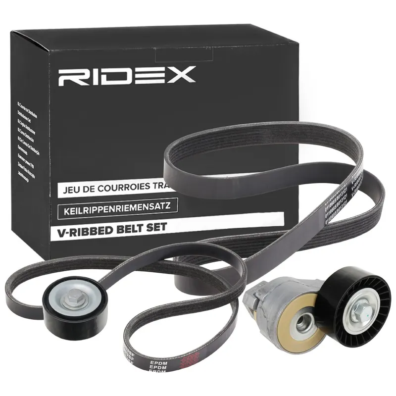 Drivremssats RIDEX 542R0245