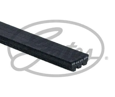 Multirem GATES 3PK796SF