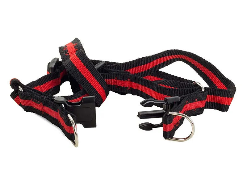 Elastiskt koppel med sele 80-125cm - Strl S - Röd