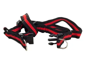 Elastiskt koppel med sele 80-125cm - Strl S - Röd