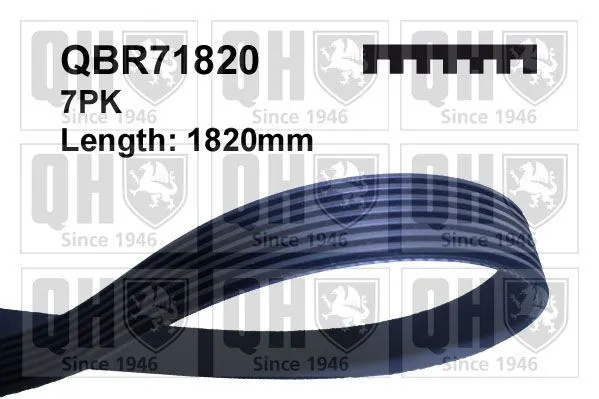 Multirem Quinton Hazell QBR71820