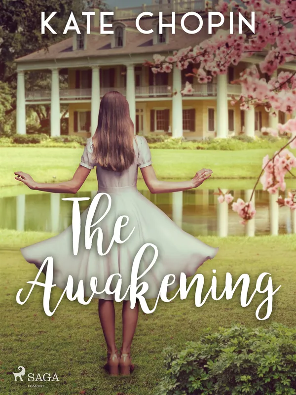 The Awakening, E-bok