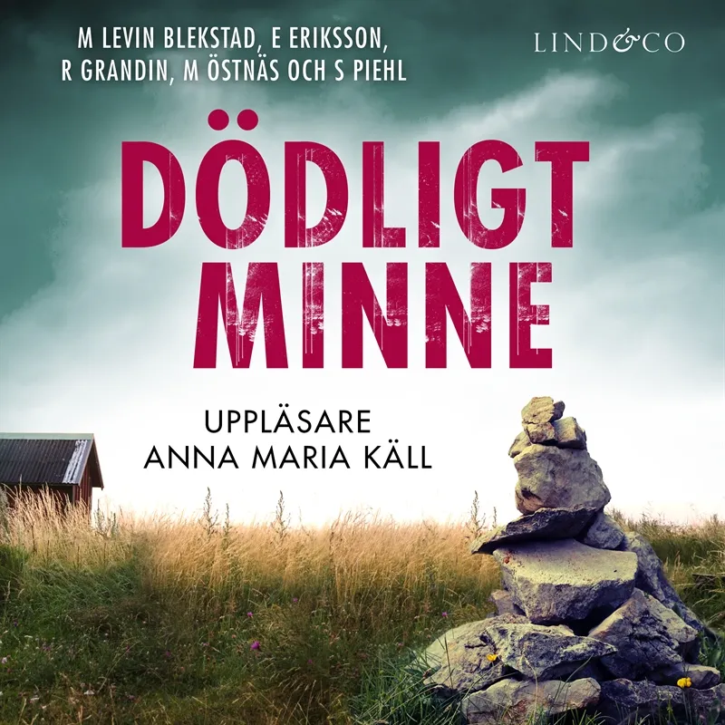 Dödligt minne, Ljudbok