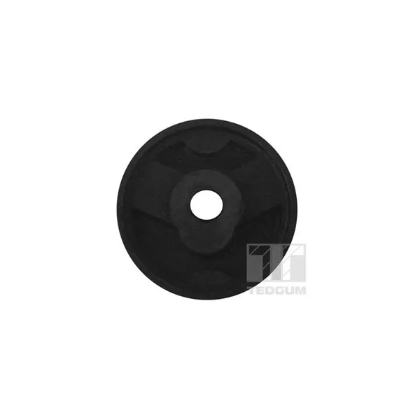 Fäste, differential TEDGUM 00028545