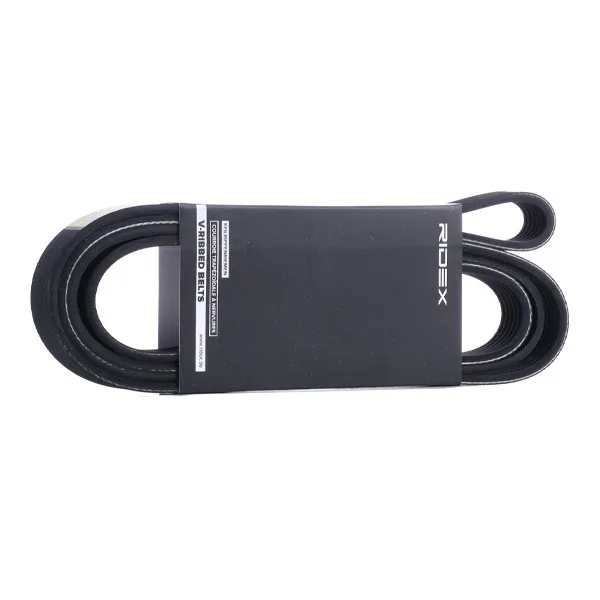 Multirem RIDEX 305P0343