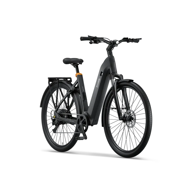 Ecoride Tripper-4-hubmotor-low-step-black-small