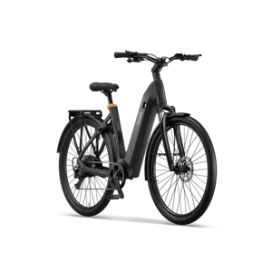 Ecoride Tripper-4-hubmotor-low-step-black-small