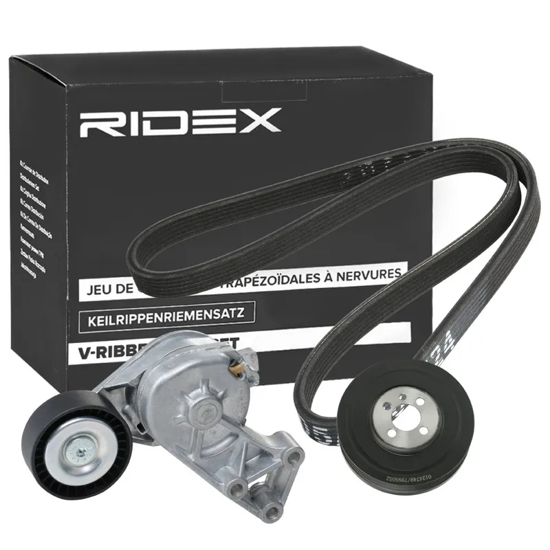 Drivremssats RIDEX 542R0772