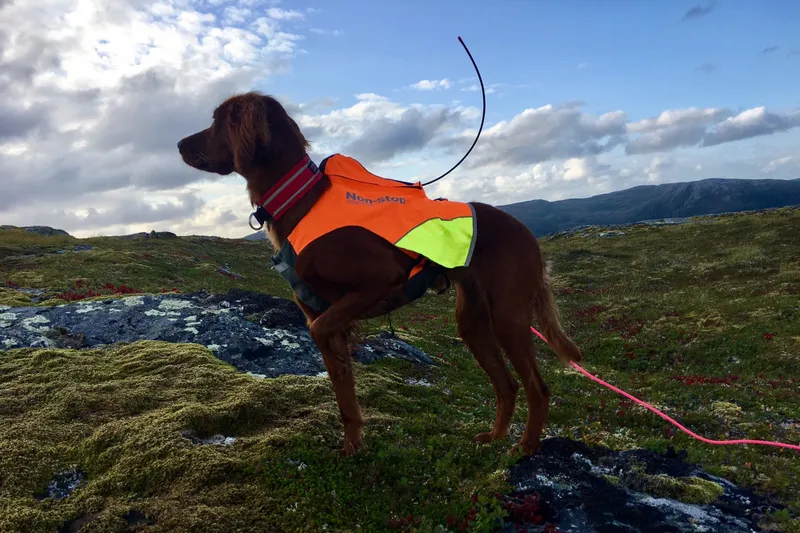 Non-stop Dogwear Protector Vest Gps Orange