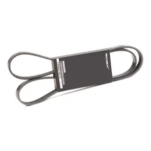 Multirem RIDEX 305P0417