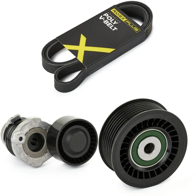 Drivremssats RIDEX PLUS 542R0105P