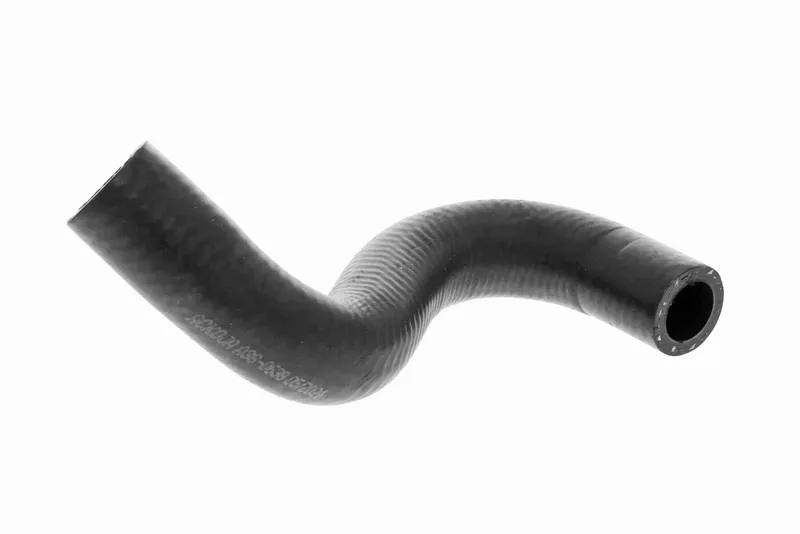 Kylarslang ACKOJA A38-0638