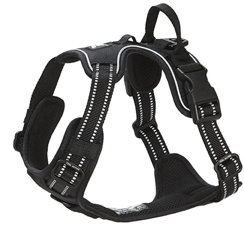 Feel Active Training Hundsele Svart (#3817)
