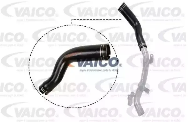 Laddluftslang VAICO V24-0694