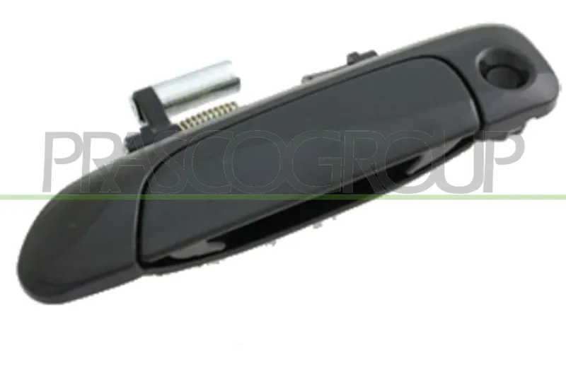 Dörrhandtag PRASCO HD3208002
