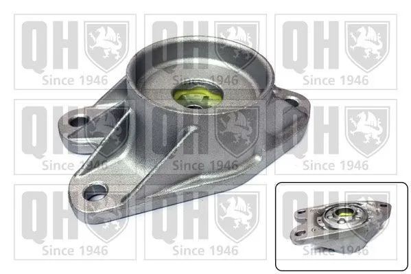 Fjäderbenslagring QUINTON HAZELL EMR4830