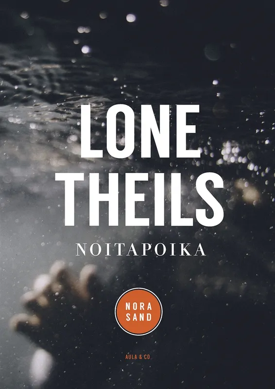 Noitapoika, E-bok