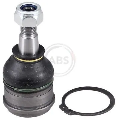 Spindelled A.B.S. 220413