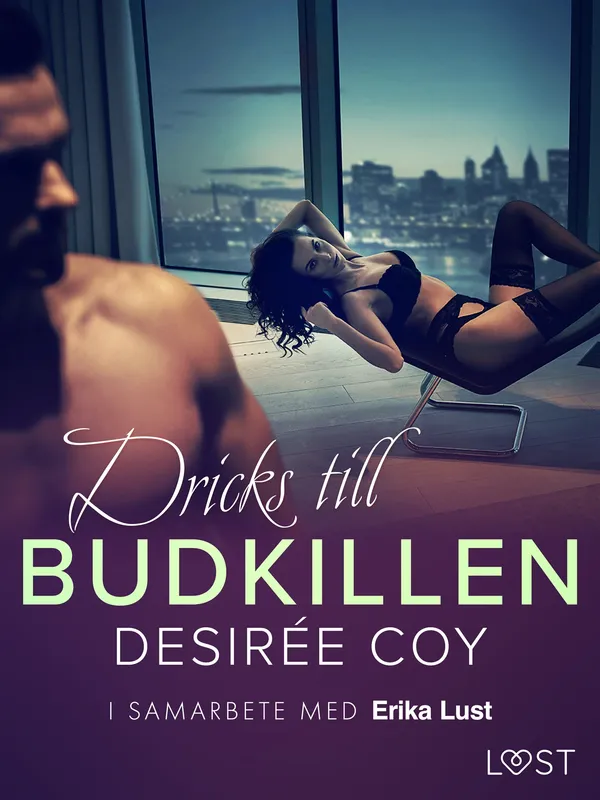 Dricks till budkillen – erotisk novell, E-bok