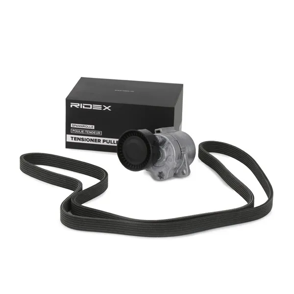 Drivremssats RIDEX 542R0413