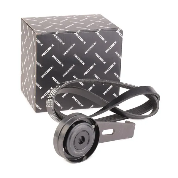 Drivremssats RIDEX 542R0381