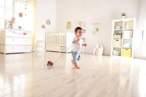 Hape, Pull Along Ladybug