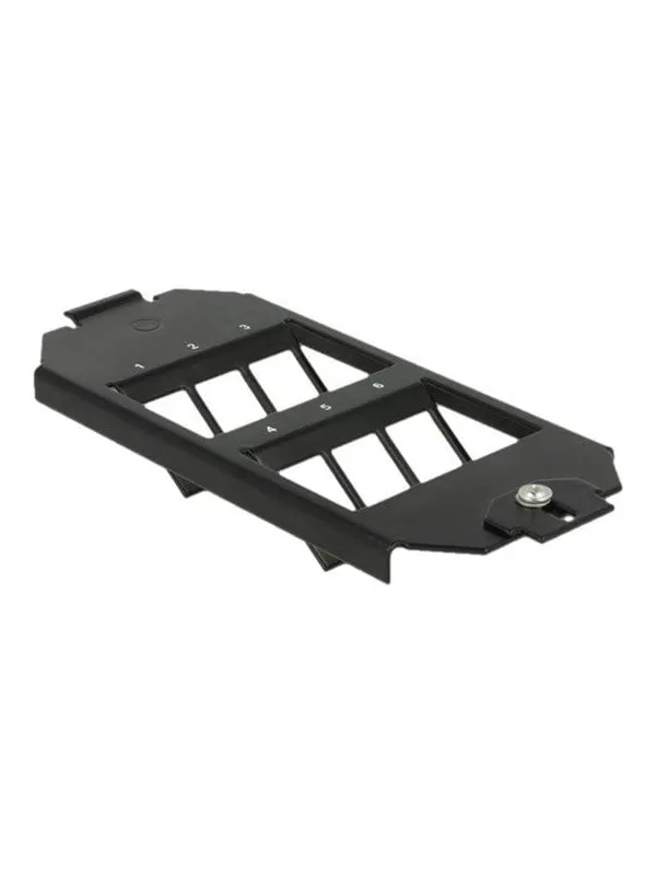 DeLOCK Keystone Mounting