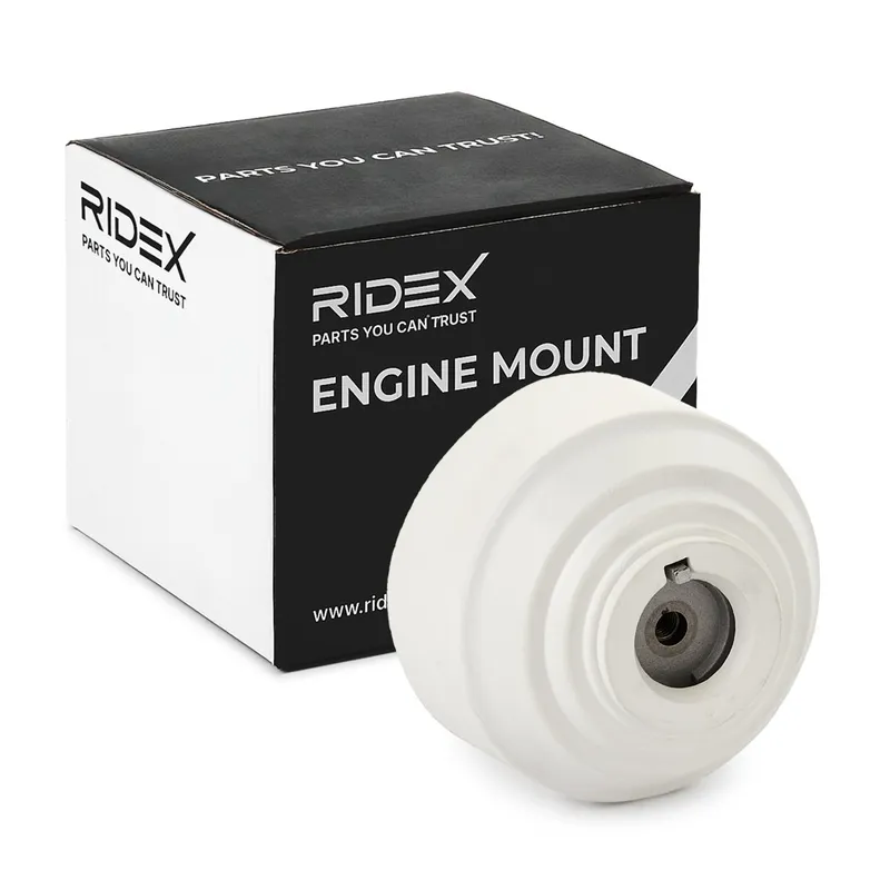 Motorkudde RIDEX 247E0755